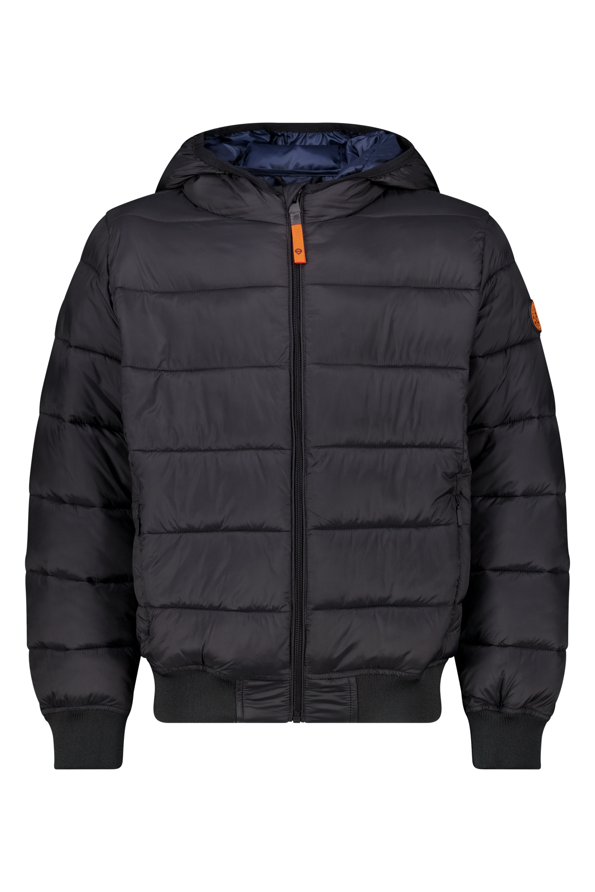 America Today Hooded bomber joris jr