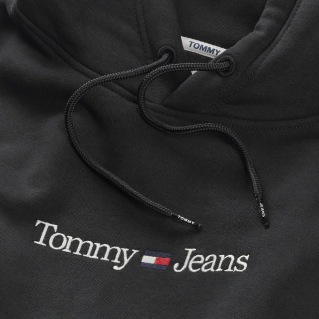 Tommy Hilfiger Reg linear hoodie DM0DM15013-BDS-XL large