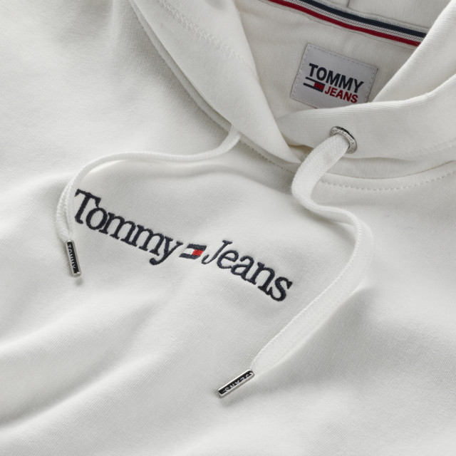 Tommy Hilfiger Reg serif linear hoodie DW0DW14362-YBL-M large