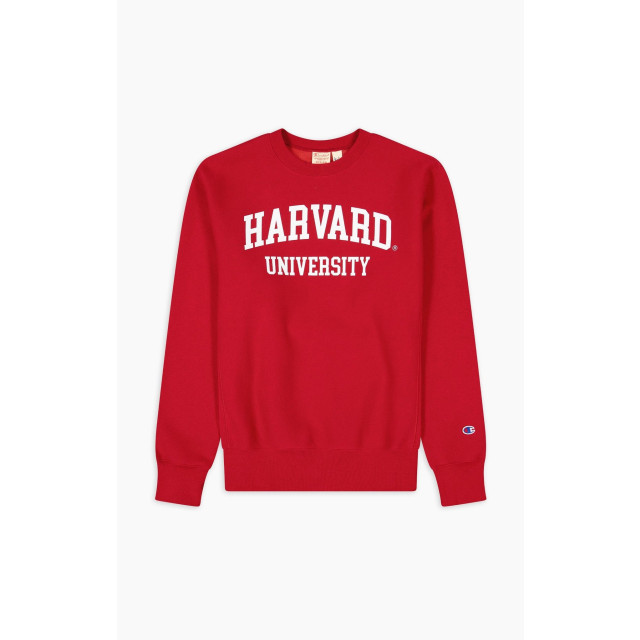 Champion Harvard university /wit 218350 218350 large