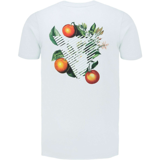 Pure Path Triangle orange branch t-shirt mint 24010102-14 large