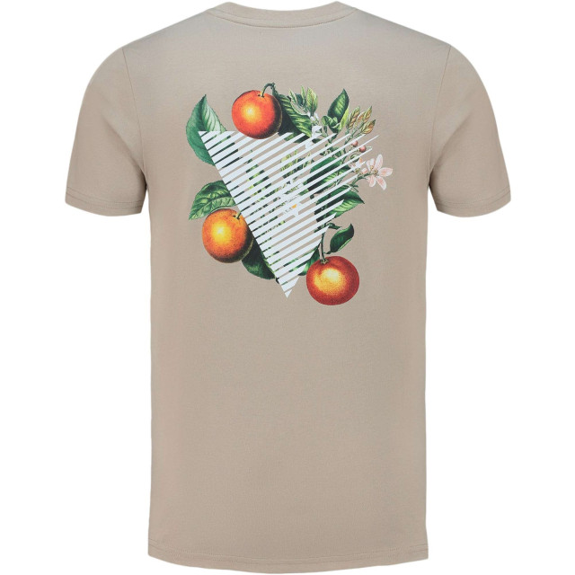 Pure Path Triangle orange branch t-shirt taupe 24010102-53 large