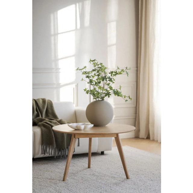 Rowico Home Yumi houten salontafel naturel Ø90 cm 2323390 large