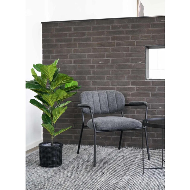 Artichok Ellen vioolblad kamerplant 100 cm 2027963 large