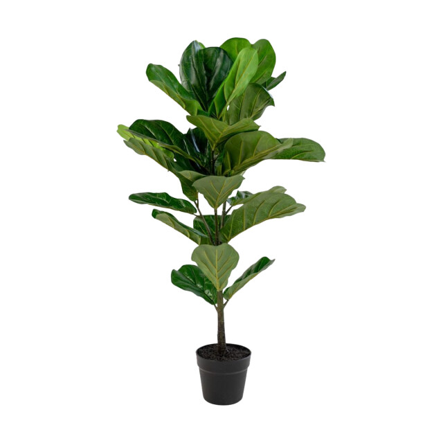 Artichok Ellen vioolblad kamerplant 100 cm 2027963 large