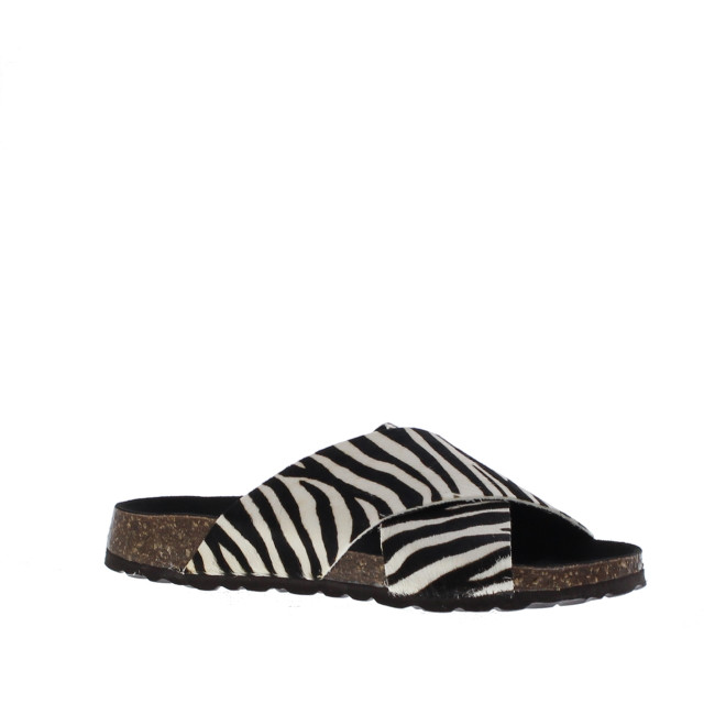 Cypres Slipper 1090 109038 large