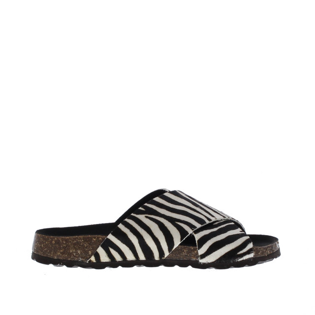 Cypres Slipper 1090 109038 large