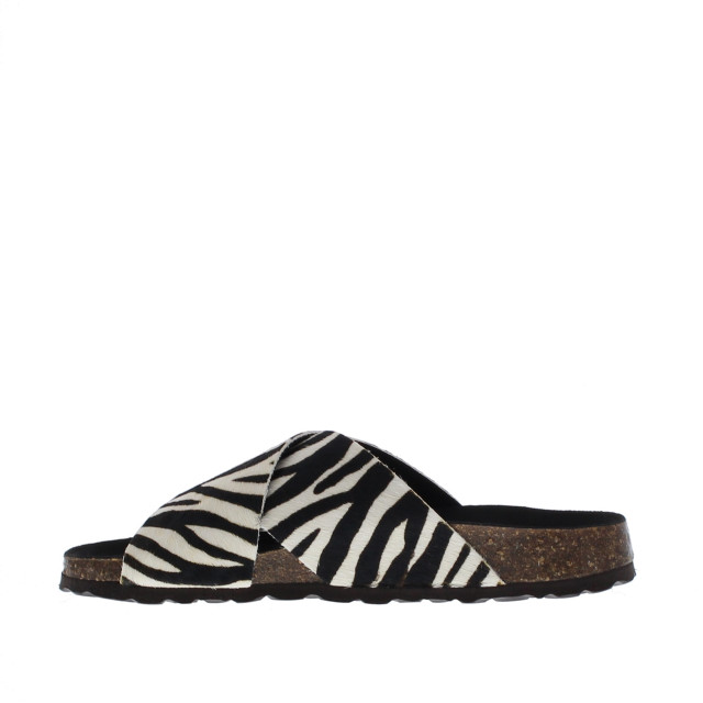 Cypres Slipper 1090 109038 large