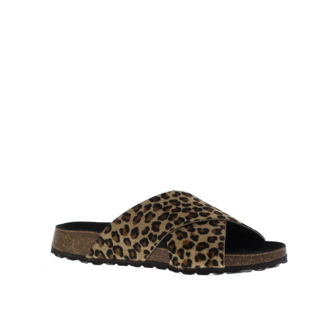 Cypres Slipper 109038 109038 large