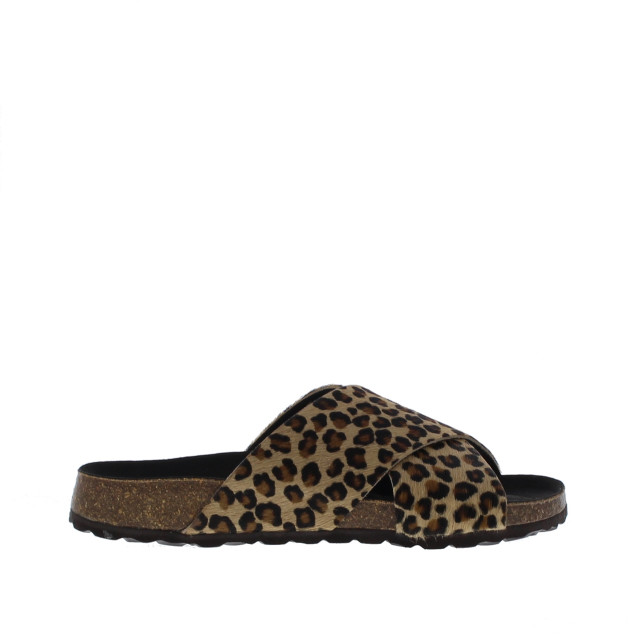 Cypres Slipper 109038 109038 large