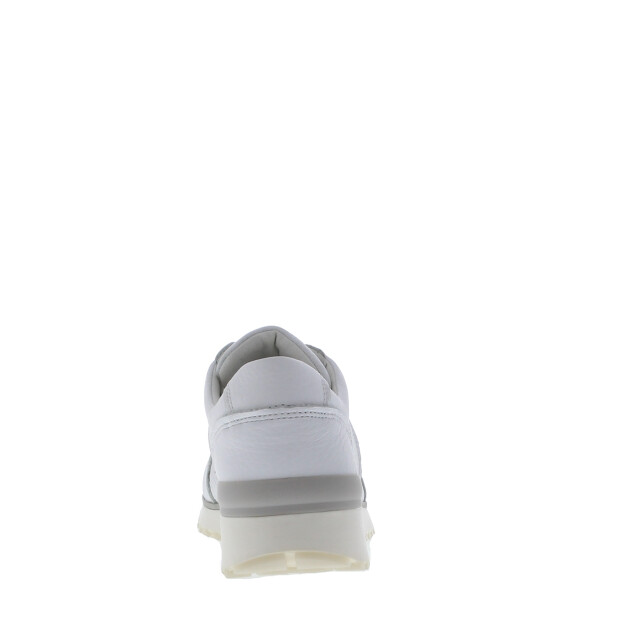 Cypres Sneaker 109002 109002 large