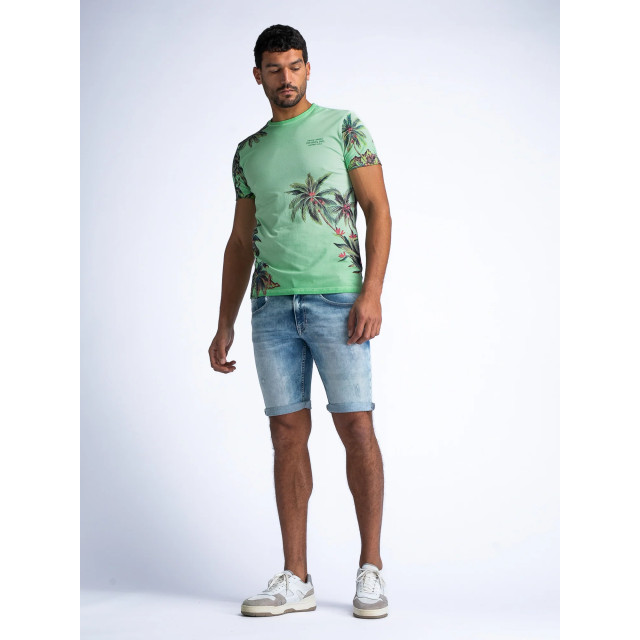 Petrol Industries Men t-shirt met botanische print M-1040-TSR673 large