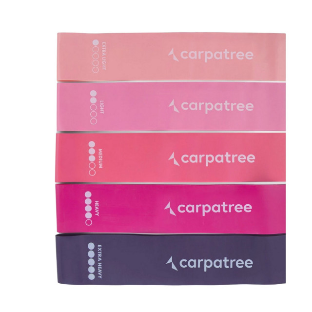 Carpatree Set ombre weerstandsband (set van 5) UTCC112_pink large