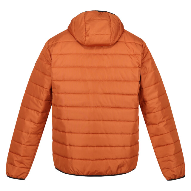 Regatta Heren helfa jasje UTRG5549_burntcopper large