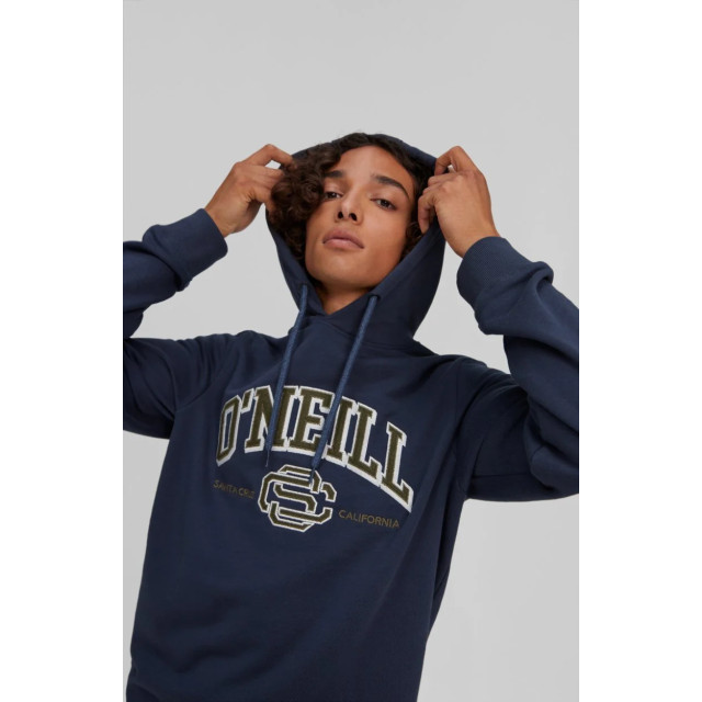 O'Neill Surf state hoodie O'Neill surf state hoodie large