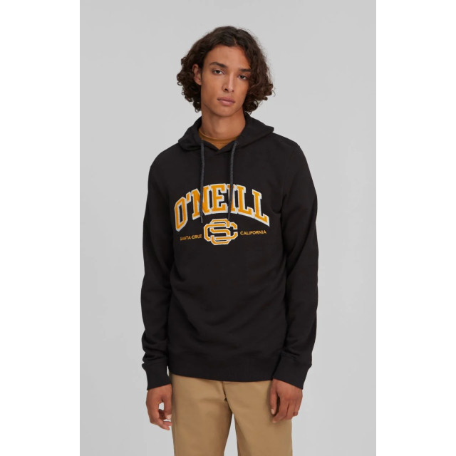 O'Neill Surf state hoodie O'Neill surf state hoodie large