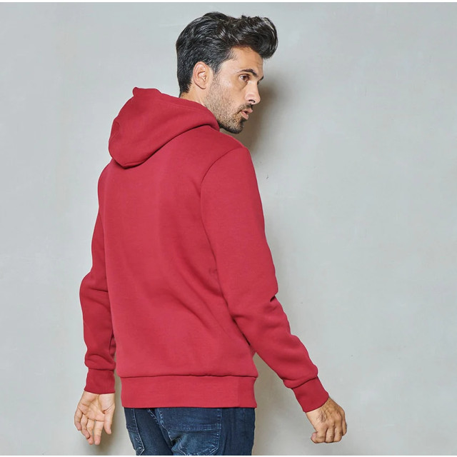 Twinlife Men sweater hoody Twinlife Men Sweater Hoody large