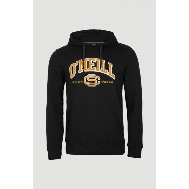 O'Neill Surf state hoodie O'Neill surf state hoodie large