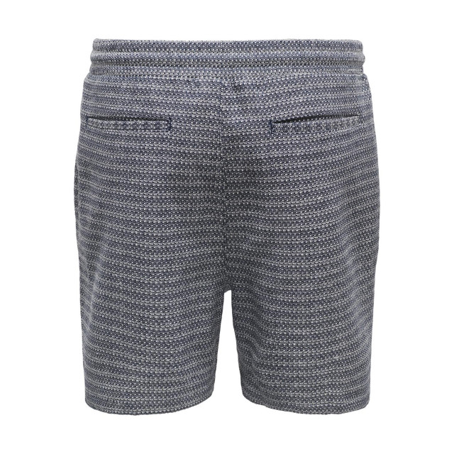 Only & Sons Onsnash life reg shorts 22028358 large