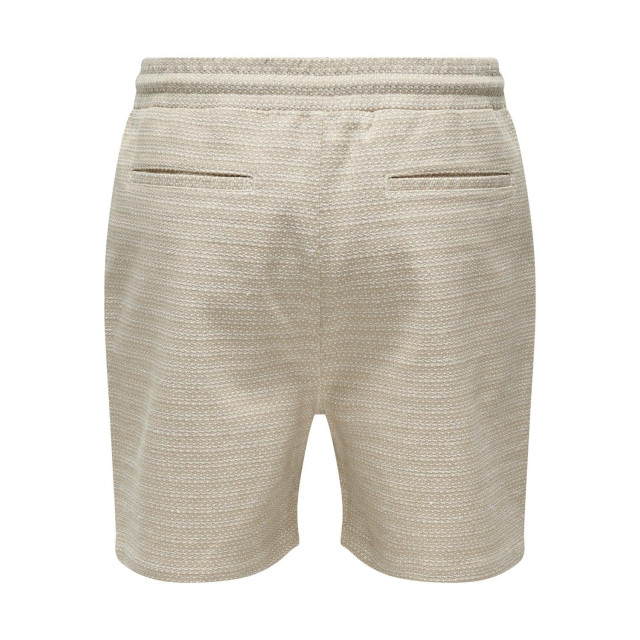 Only & Sons Onsnash life reg shorts 22028358 large