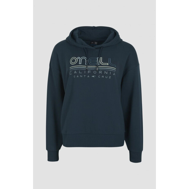 O'Neill All year sweatshirt hoodie O'Neill All Year Sweatshirt Hoodie large