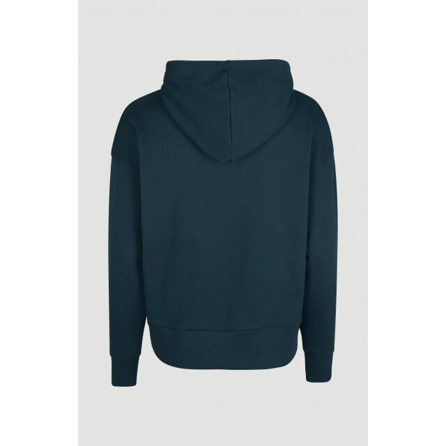 O'Neill All year sweatshirt hoodie O'Neill All Year Sweatshirt Hoodie large