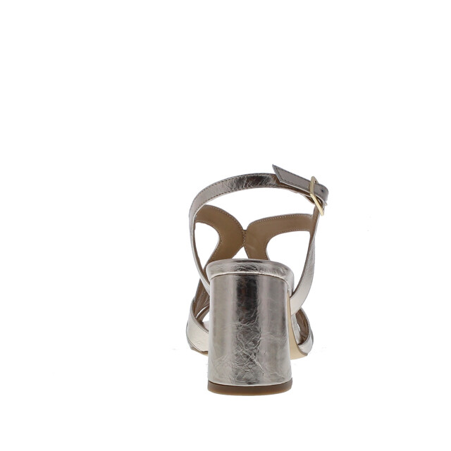 Di Lauro Roni-1 multi 108119 large