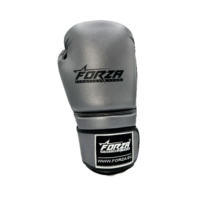 Forza artificial leather silver - 066211_930-16 OZ large