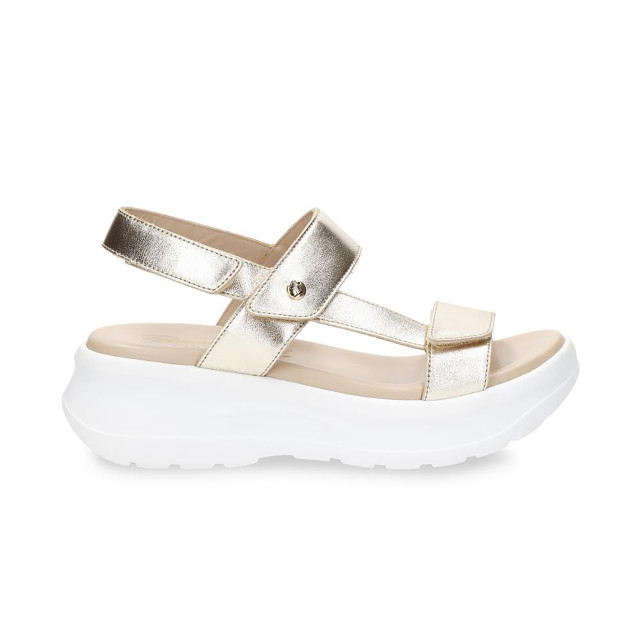 Panama Jack Noor Shine B1 Sandalen Goud Noor Shine B1 large