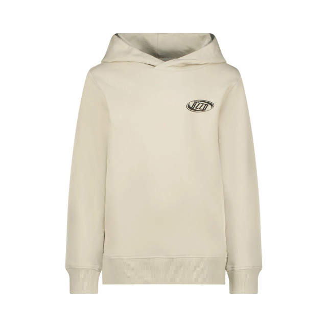 Raizzed Jongens hoodie nezar whisper grey 150813013 large