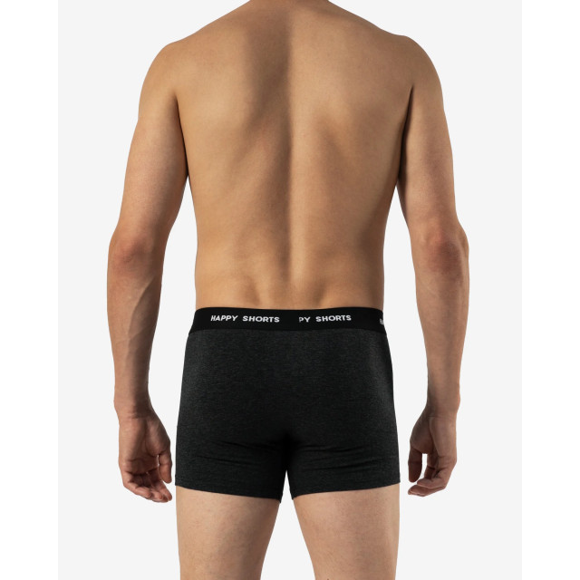 Happy Shorts 3-pack boxershorts heren d923 stripes print HS-J-923 large