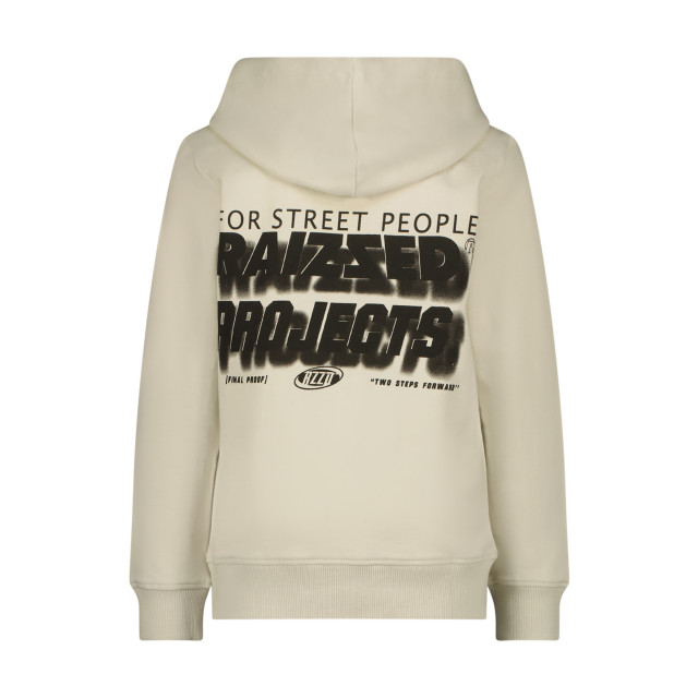 Raizzed Jongens hoodie nezar whisper grey 150813013 large