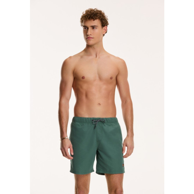 Shiwi 1441110000 mike 764 cilantro green swim short sh 764 Cilantro Green/1441110000 Mike large