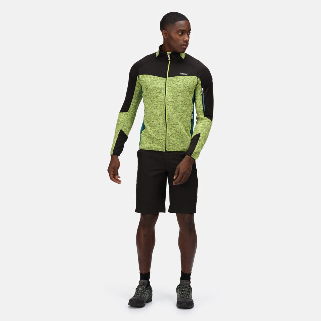 Regatta Heren highton wandelshort UTRG6827_black large