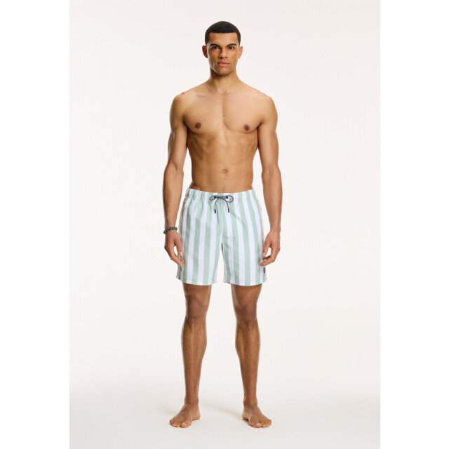 Shiwi Heren zwemshort broad stripe 1441100200-708 large