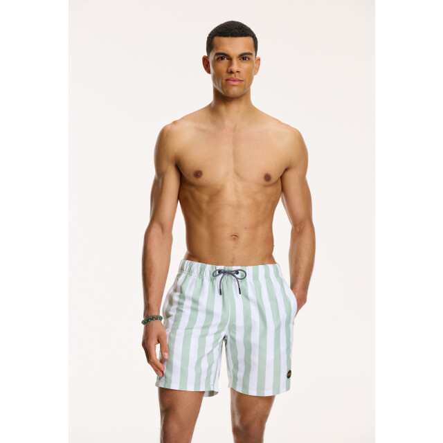 Shiwi Heren zwemshort broad stripe 1441100200-708 large
