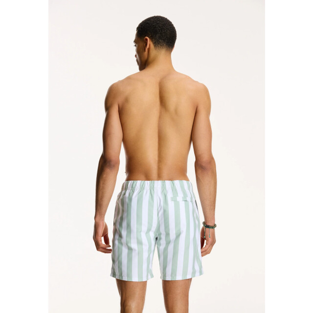 Shiwi Heren zwemshort broad stripe 1441100200-708 large