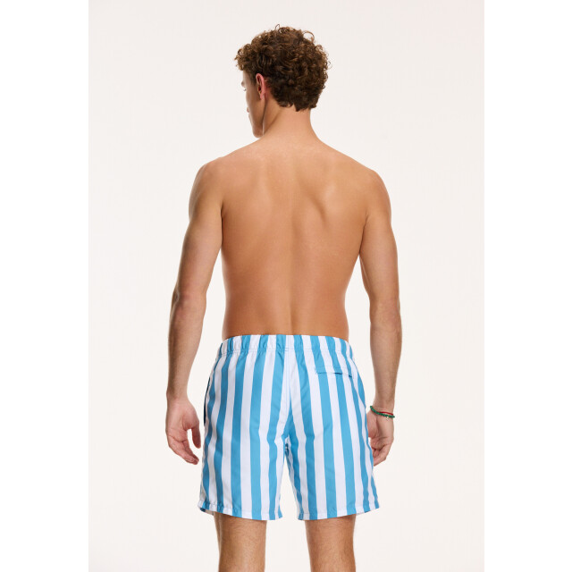 Shiwi Heren zwemshort broad stripe 1441100200-615 large