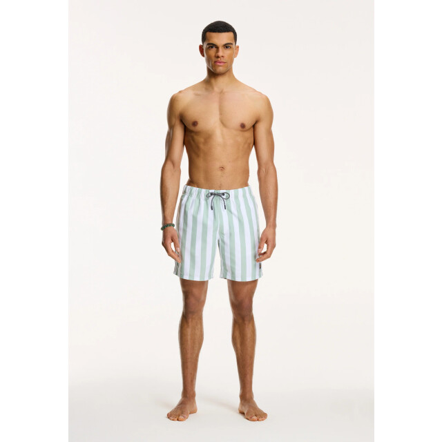 Shiwi Heren zwemshort broad stripe 1441100200-708 large