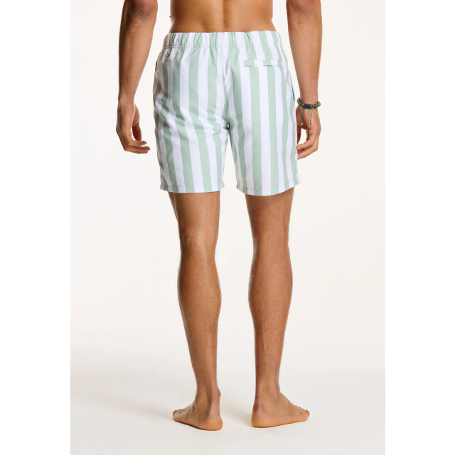 Shiwi Heren zwemshort broad stripe 1441100200-708 large