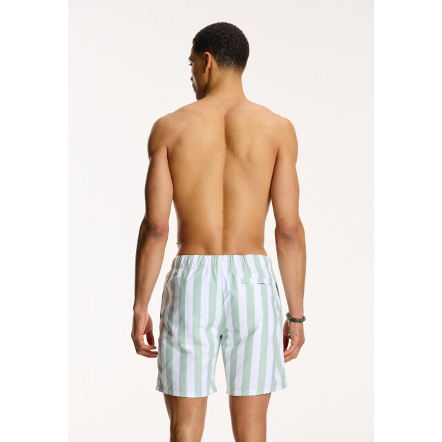 Shiwi Heren zwemshort broad stripe 1441100200-708 large