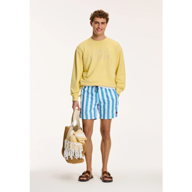 Shiwi Heren zwemshort broad stripe 1441100200-615 large