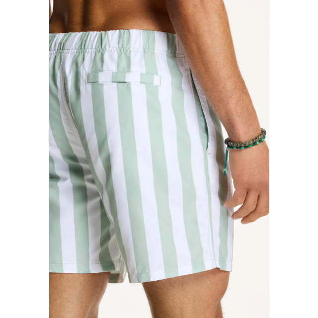 Shiwi Heren zwemshort broad stripe 1441100200-708 large