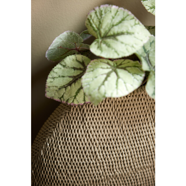 Light & Living vaas mashaba 40.5x14.5x36.5 - 2654297 large