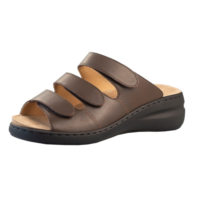 Solidus Spezial 21154-30407-H large