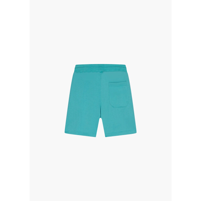 Black Donkey Relaxt summer short i mintgreen CH4-MCRSS-MG large