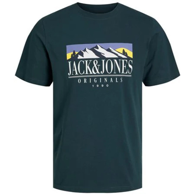 Jack & Jones Jorwalter tee 12245329 large