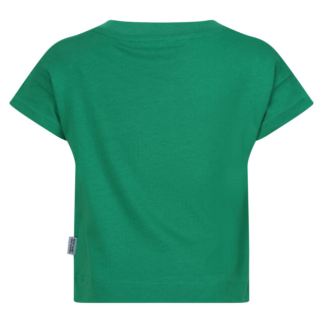 Regatta Kinderen/kinderen stompy de dinosaurus t-shirt UTRG10357_jellybeangreen large
