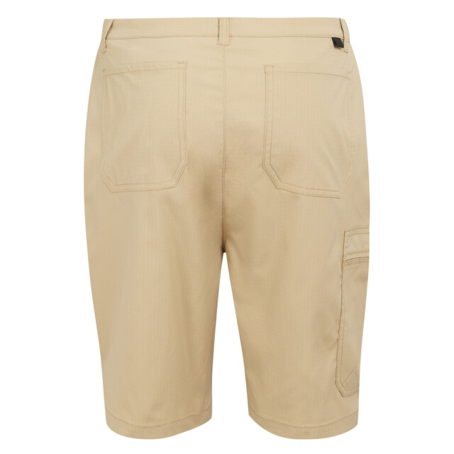 Regatta Heren dalry multi pocket korte broek UTRG10335_oat large