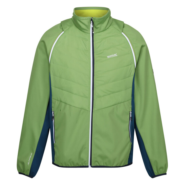Regatta Heren steren ii softshell hybride jas UTRG10503_piquantgreenmoroccanbluecitronlime large